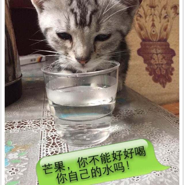 高仿东部理工学院成绩单